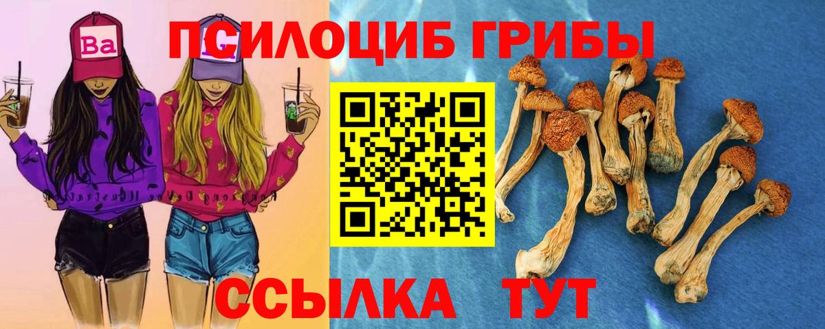 Галлюциногенные грибы мицелий  Вход с VPN  Ипатово 
