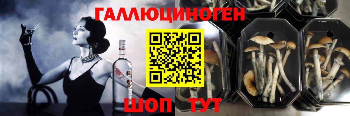 Галлюциногенные грибы ЛСД Ипатово